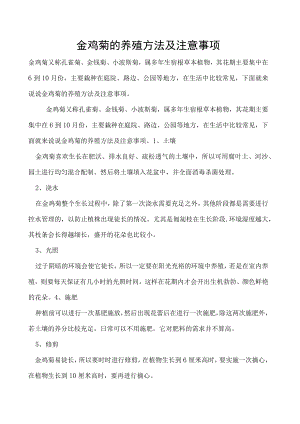 金鸡菊的养殖方法及注意事项.docx