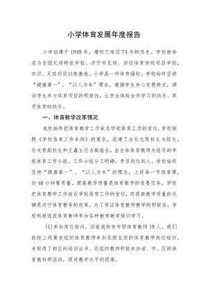 小学体育发展年度报告.docx