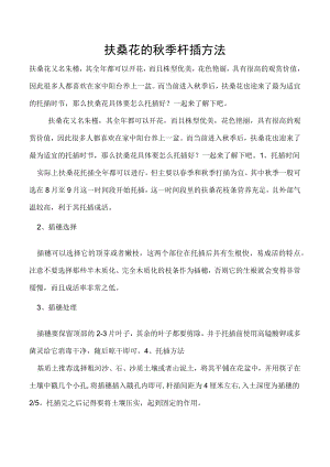 扶桑花的秋季扦插方法.docx