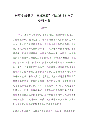 村党支部书记“三抓三促”行动进行时学习心得体会五篇.docx