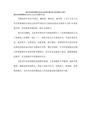 临沂市自然资源综合执法支队青年理论学习组开展学习研讨.docx