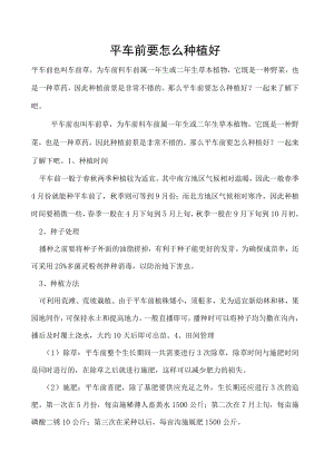 平车前要怎么种植好.docx
