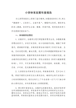 小学体育发展年度报告.docx