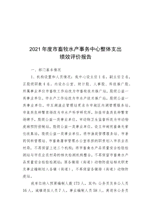 2016年度市政府金融办整体支出绩效评价报告.docx