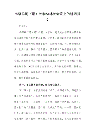 市级总河(湖)长和总林长会议上的讲话范文.docx
