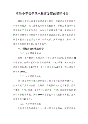 实验小学关于艺术教育发展的说明报告.docx