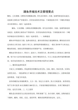鳝鱼养殖技术及管理要点.docx