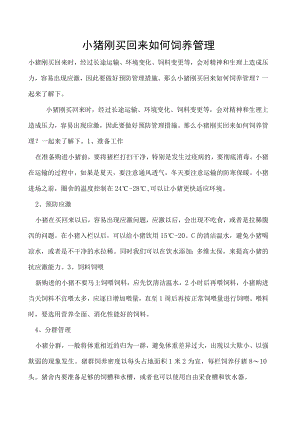 小猪刚买回来如何饲养管理.docx
