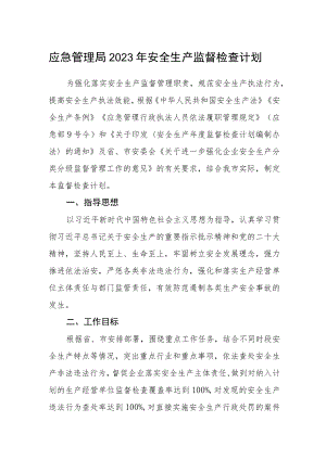 应急管理局2023年安全生产监督检查计划.docx