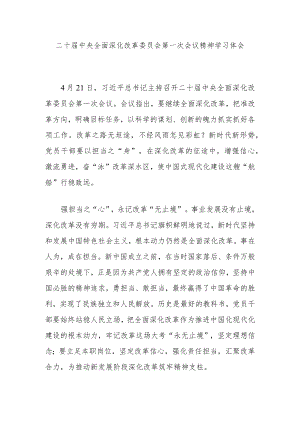 二十届中央全面深化改革委员会第一次会议精神学习体会2篇.docx