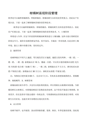 柑橘树苗现阶段管理.docx