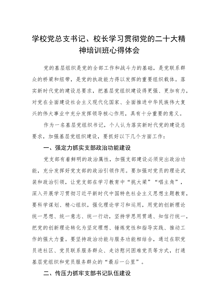 学校党总支书记、校长学习贯彻党的二十大精神培训班心得体会三篇.docx_第1页