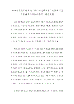 2023年党员干部围绕“凝心铸魂筑牢根”专题研讨发言材料及心得体会感想2篇范文稿.docx