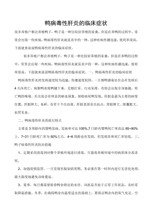 鸭病毒性肝炎的临床症状.docx