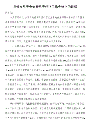 县长在县委全会暨县委经济工作会议上的讲话.docx