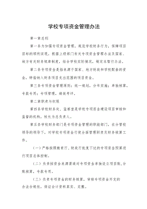 学校专项资金管理办法.docx