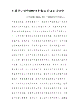 纪委书记抓党建促乡村振兴培训心得体会.docx