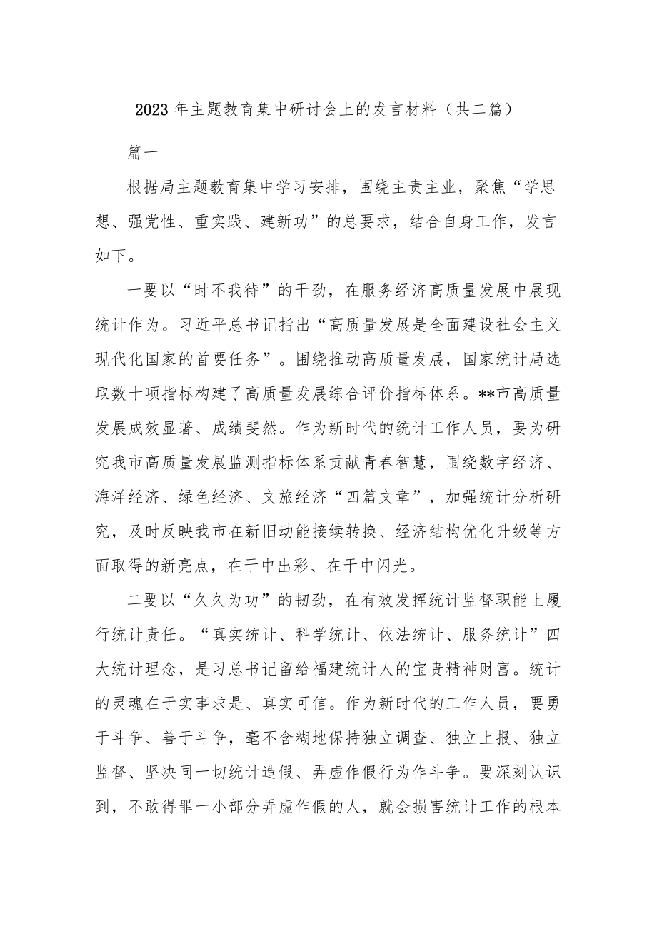 2023年主题教育集中研讨会上的发言材料(共二篇).docx_第1页