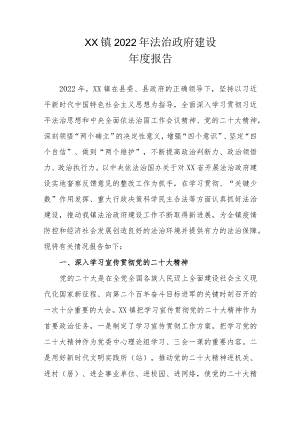 XX镇2022年法治政府建设年度报告.docx