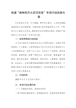 街道“森林防灭火百日攻坚”专项行动实施方案.docx