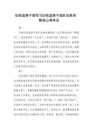纪检监察干部学习纪检监察干部队伍教育整顿心得体会十篇.docx