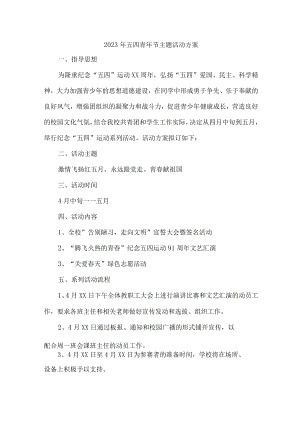 国企单位开展2023年54青年节活动主题方案.docx