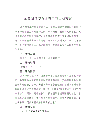某某团县委五四青年节活动方案.docx