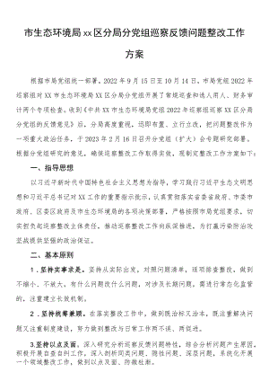 市生态环境局xx区分局分党组巡察反馈问题整改工作方案.docx