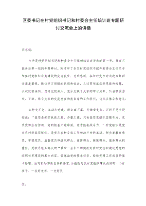 区委书记在村党组织书记和村委会主任培训班专题研讨交流会上的讲话.docx