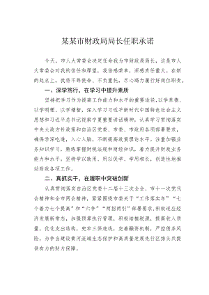某某市财政局局长任职承诺.docx