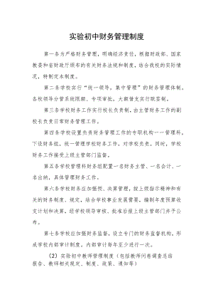 实验初中财务管理制度.docx