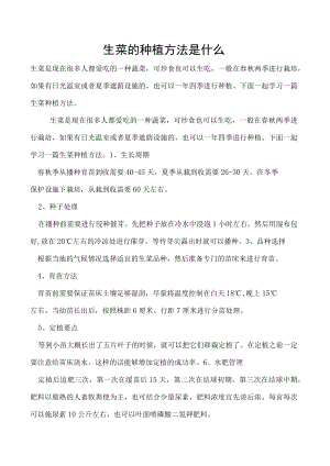 生菜的种植方法是什么.docx