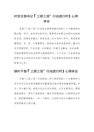 村党支部书记【“三抓三促”行动进行时】心得体会范文三篇.docx