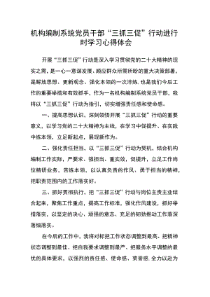 机构编制系统党员干部“三抓三促”行动进行时学习心得体会.docx