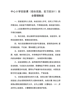 中心小学实验课（综合实践、实习实训）安全管理制度.docx