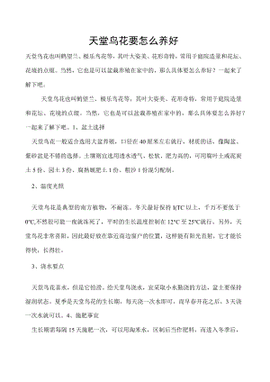 天堂鸟花要怎么养好.docx