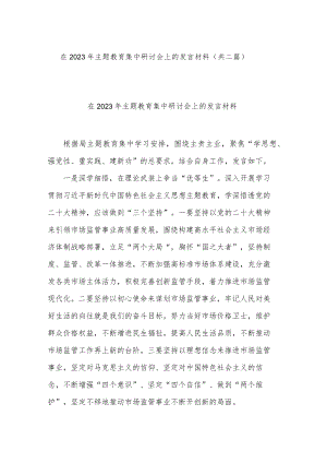 在2023年主题教育集中研讨会上的发言材料(共二篇).docx