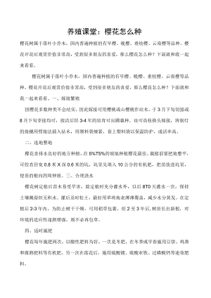 养殖课堂：樱花怎么种.docx