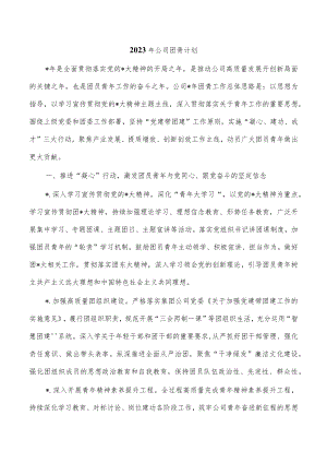2023年公司团青计划.docx