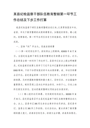 某县纪检监察干部队伍教育整顿第一环节工作总结及下步工作打算.docx