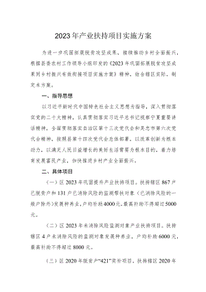 2023年产业扶持项目实施方案.docx