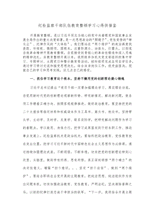 纪检监察干部队伍教育整顿学习心得供借鉴.docx