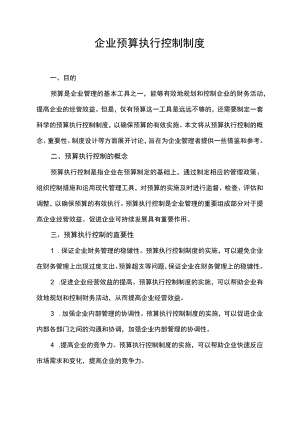 企业预算执行控制制度.docx