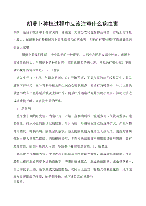 胡萝卜种植过程中应该注意什么病虫害.docx