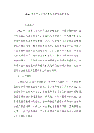 2023年某市安全生产和应急管理工作要点.docx