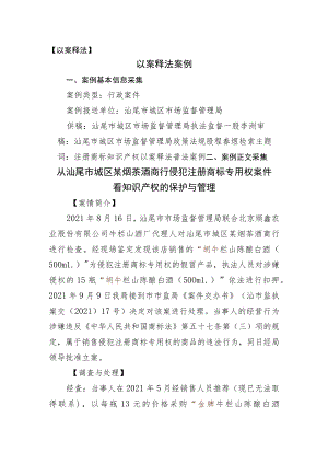 （以案释法案例文档格式）.docx