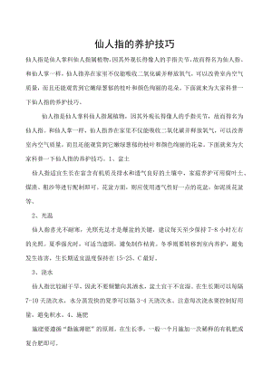 仙人指的养护技巧.docx