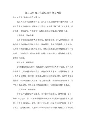 员工试用期工作总结报告范文两篇.docx