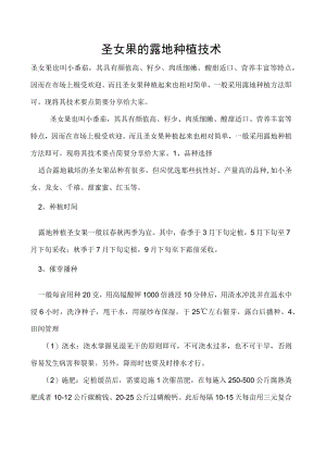 圣女果的露地种植技术.docx