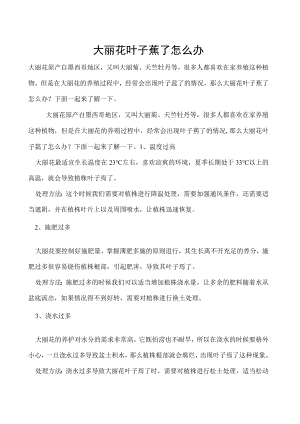 大丽花叶子蔫了怎么办.docx